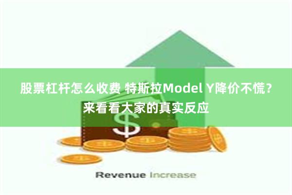 股票杠杆怎么收费 特斯拉Model Y降价不慌？来看看大家的真实反应