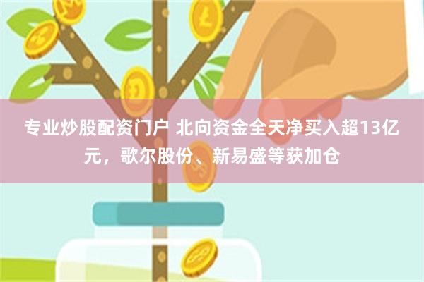 专业炒股配资门户 北向资金全天净买入超13亿元，歌尔股份、新易盛等获加仓