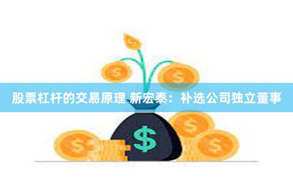 股票杠杆的交易原理 新宏泰：补选公司独立董事