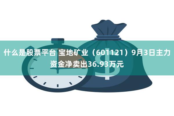 什么是股票平台 宝地矿业（601121）9月3日主力资金净卖出36.93万元