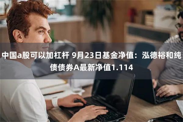 中国a股可以加杠杆 9月23日基金净值：泓德裕和纯债债券A最