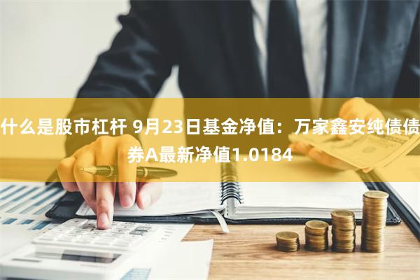 什么是股市杠杆 9月23日基金净值：万家鑫安纯债债券A最新净