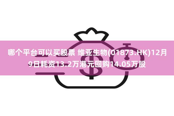 哪个平台可以买股票 维亚生物(01873.HK)12月9日耗资13.2万港元回购14.05万股