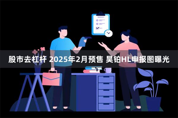 股市去杠杆 2025年2月预售 昊铂HL申报图曝光