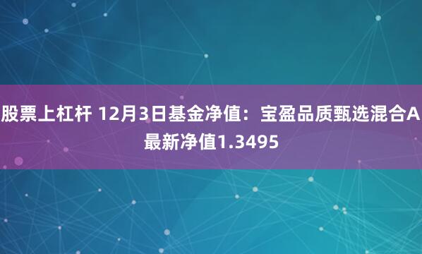 股票上杠杆 12月3日基金净值：宝盈品质甄选混合A最新净值1.3495