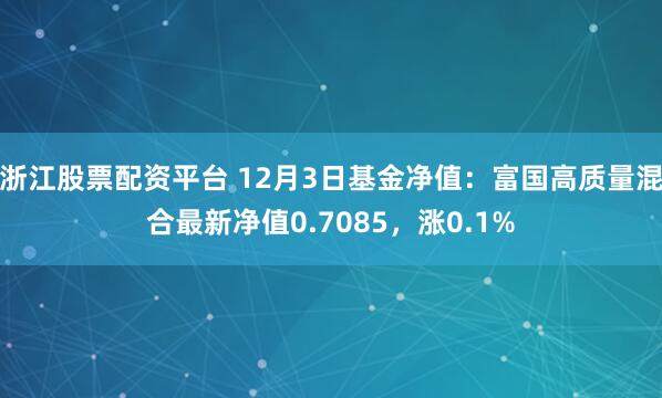 浙江股票配资平台 12月3日基金净值：富国高质量混合最新净值0.7085，涨0.1%