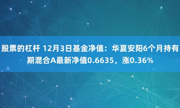 股票的杠杆 12月3日基金净值：华夏安阳6个月持有期混合A最新净值0.6635，涨0.36%