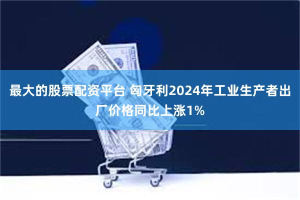 最大的股票配资平台 匈牙利2024年工业生产者出厂价格同比上涨1%