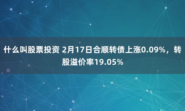 什么叫股票投资 2月17日合顺转债上涨0.09%，转股溢价率19.05%