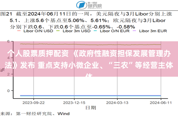 个人股票质押配资 《政府性融资担保发展管理办法》发布 重点支持小微企业、“三农”等经营主体